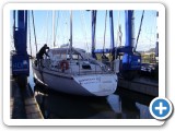Hauling out (New Zealand)